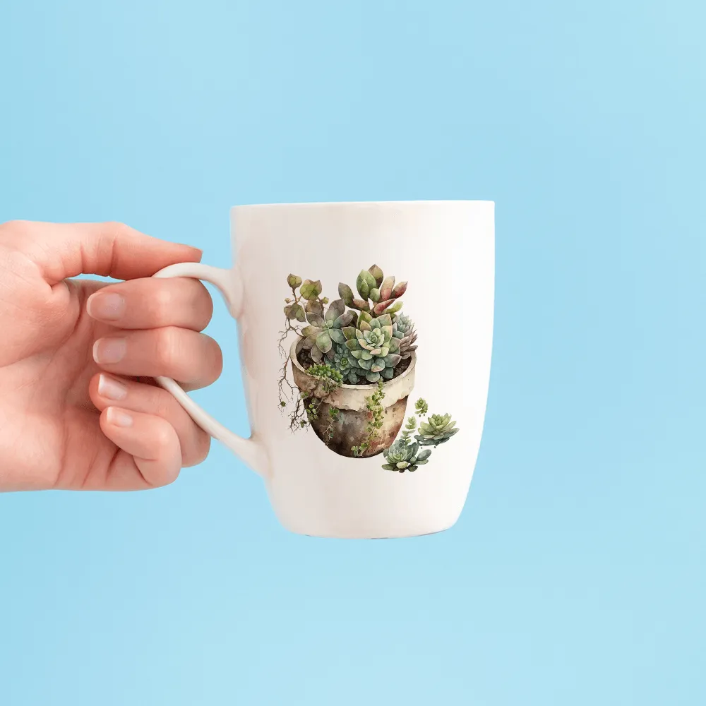 Succulent Assortment Design