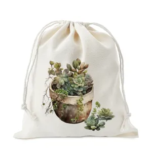 Succulent Assortment Design